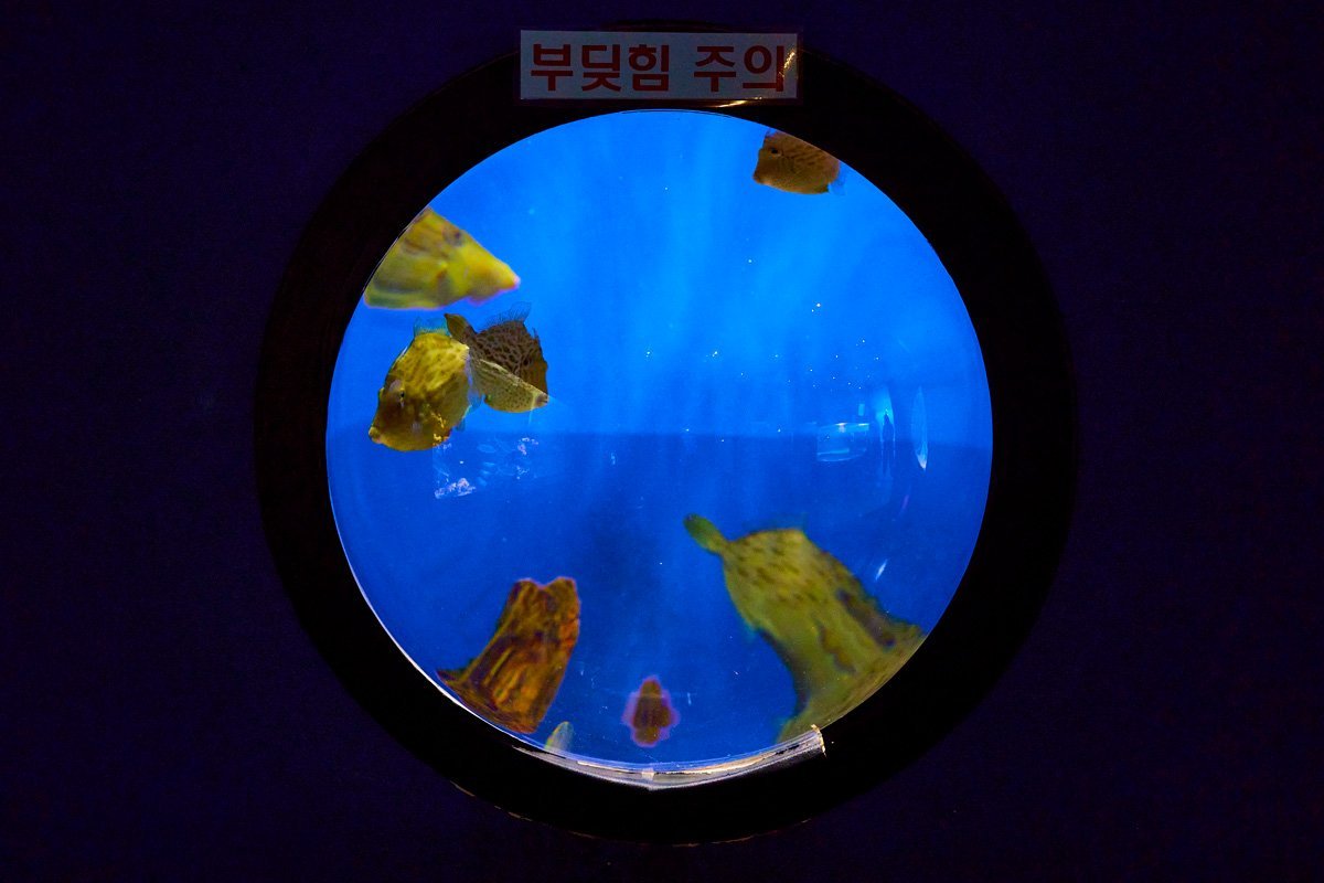 볼록수조