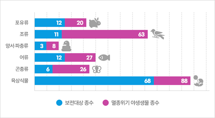 포유류 보전대상 종수 : 12, 멸종위기 야생생물 종수 : 20, 조류 보전대상 종수 : 11, 멸종위기 야생생물 종수 : 63, 양서·파충류 보전대상 종수 : 3, 멸종위기 야생생물 종수 : 8, 어류 보전대상 종수 : 12, 멸종위기 야생생물 종수 : 27, 곤충류 보전대상 종수 : 6, 멸종위기 야생생물 종수 : 88, 육상식물 보전대상 종수 : 68, 멸종위기 야생생물 종수 : 88